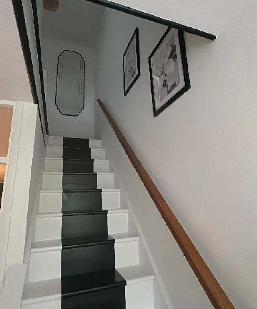 Comfy Home By Mesh contacts